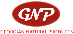 GNP